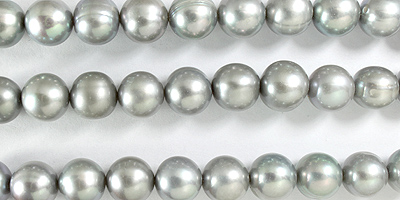 grey pearls
